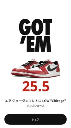 Nike Air Jordan 1 Retro Low OG 