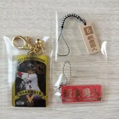 坂本勇人 3点セット ジャイアンツ 読売巨人軍 ライオンハヤト