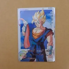 MM4-029DA　ベジット