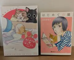 Item thumbnail for item 75e4005d-e3df-4008-9356-ed05dd0fedce