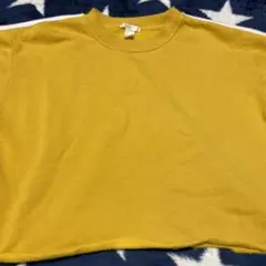 ショート丈 トレーナ