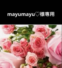 mayumayu♡ 様専用ページ　　　【リサージヴォーニュ２点セット】のサムネイル