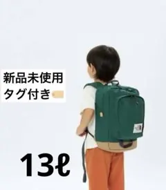 THE NORTH FACE リュック　ホットショットミニ（キッズ）