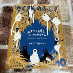 月刊 たくさんのふしぎ 迷宮へどうぞ 福音館書店 - メルカリ