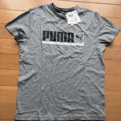 PUMA グレー Tシャツ