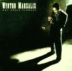 2026年最新】wynton marsalisの人気アイテム - メルカリ