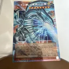 遊戯王　白き幻獣-ブルーアイズ　オーバーフレーム　プリシク
