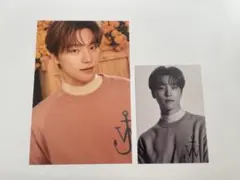 ディノ Your Choice ミニカード ポストカード