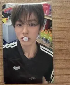 cortis タレントカード