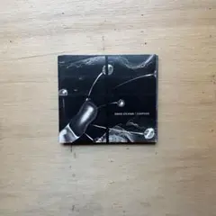 David Sylvian Camphor