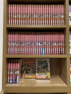 2025年最新】フェアリーテイル 100年クエスト 全巻の人気