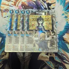 帝王坂むむ 帝王坂∞ キャラプレミアムトレジャー ドラゴン娘 4枚セット