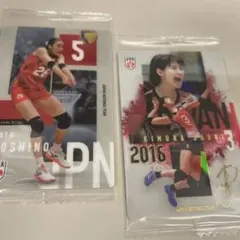 日本代表女子バレー ツインウエハース 2026 木村沙織 スペシャル