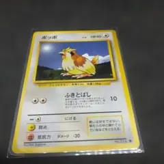 初版 マークなし 旧裏 ポケモンカード ポッポ 3枚セット - メルカリ