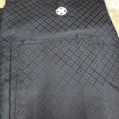 Item thumbnail for item 61a39b4c-bccb-4e58-a4a9-fa966744f144