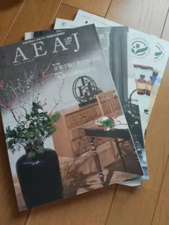 2026年最新】#AEAJの人気アイテム - メルカリ