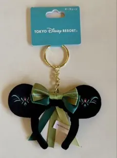 ディズニーランド/カチューシャキーホルダー/アナと雪の女王