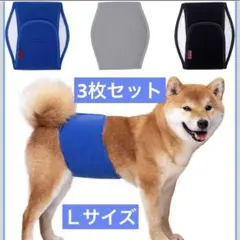 Item thumbnail for item 6bbef727-657a-4375-8106-592d7174b033