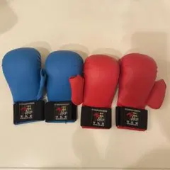 Item thumbnail for item 02833722-7be4-4bb8-a5fc-a4bf20d80966