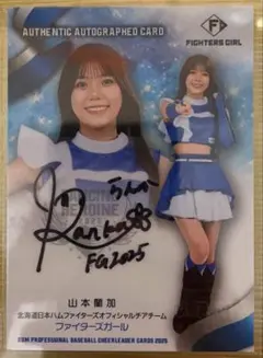 Item thumbnail for item a3b0320a-5e2c-4fff-8b6e-c32fdcf42f81