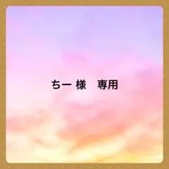 ちー様 リクエスト 2点 まとめ商品