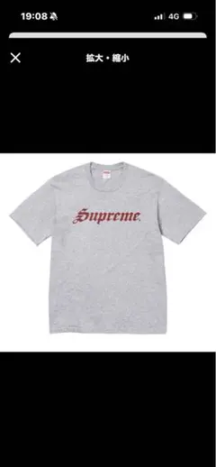 NewJeans ハニ 着用 supreme 24ss arc tee Sサイズ - メルカリ