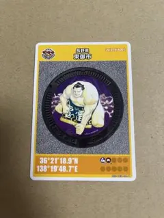 ゴマアント様 リクエスト 10点 まとめ商品