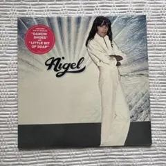 Nelson Angelo E Joyce 1994再発 ブラジル盤 美品 - メルカリ