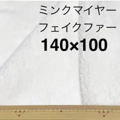 Item thumbnail for item e821c6eb-e489-45f6-afce-36861f7dbb23