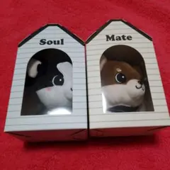 登坂広臣 ぬいぐるみキーホルダーセット