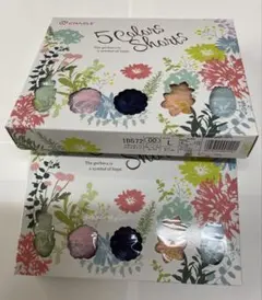 シャルレ5色セット ショーツ Lサイズ IB572 2箱セット10枚