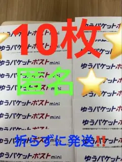 ゆうパケットポストmini 専用封筒 10枚セットその205