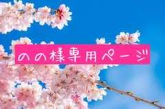 のの様専用♡