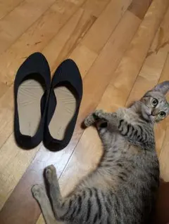 ブラック パンプスのサムネイル