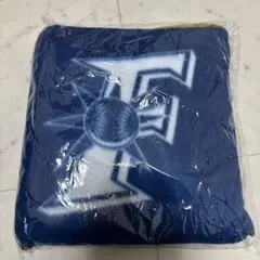 2026年最新】日ハムポンチョの人気アイテム - メルカリ