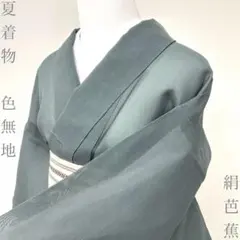 着物と帯 時流】SK26668◇洗える夏着物 色無地◇駒絽 大きいサイズ