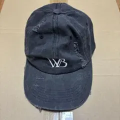 WILD BLUE　キャップ　WEGO スミクロ