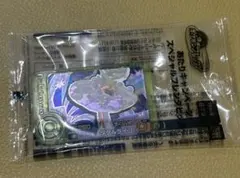 即日発送ポケモンフレンダ　ベストタッグ 当たりキャンペーン　タケルライコ