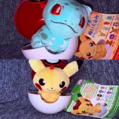 ピカチュウ フシギダネ プチぬいぐるみ モンスターボールケースのサムネイル