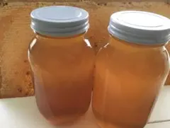 リピーター様特別販売