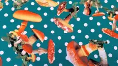 廃盤200cm★Candy Party キノコ×水玉 ターコイズ