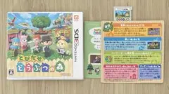 とびだせ　どうぶつの森　11/19