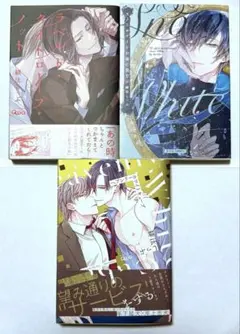商業BLコミック BL漫画 緋汰しっぷ 3冊セット ※帯付きあり