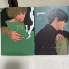 メロンの味 上下巻セット 絵津鼓 bl