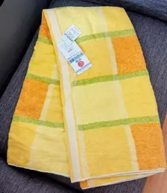 Item thumbnail for item 560bf705-1f02-442c-955e-4c34e826547d