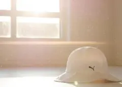 Item thumbnail for item a5bc5088-f8c1-4879-9930-6798dc312b2b