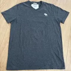Abercrombie & Fitch グレー Vネック Tシャツ L