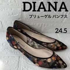 ✨新品未使用✨DIANA 絵画シリーズ ブリューゲル パンプス 黒 24.5