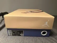 UNION × NIKE AIR JORDAN 4 SP TAUPE HAZE