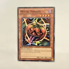 ★遊戯王★トラー・トマト 英語版